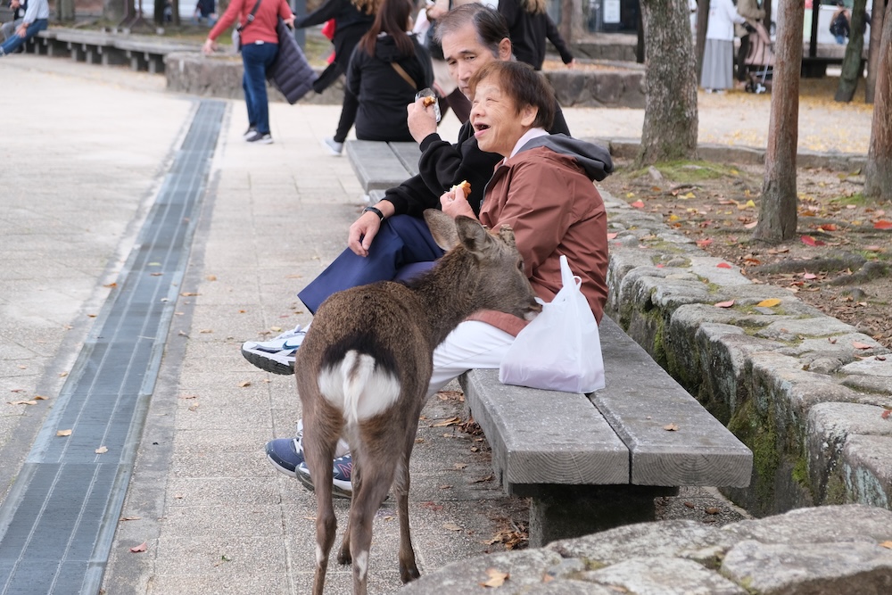 Miyajima